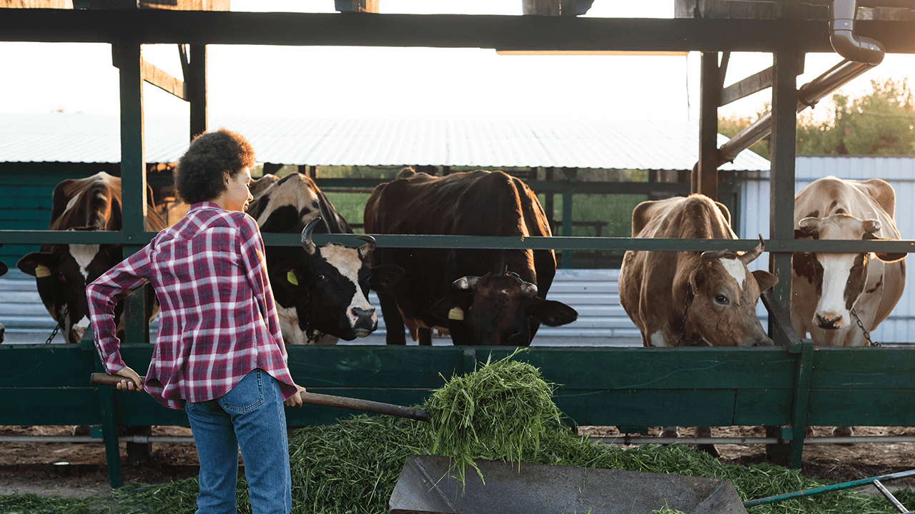 what is organic farming