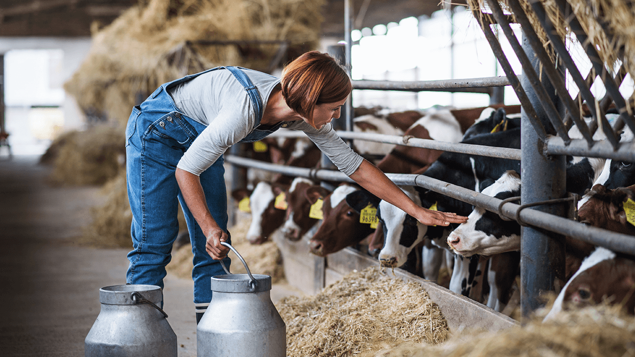 what is organic farming