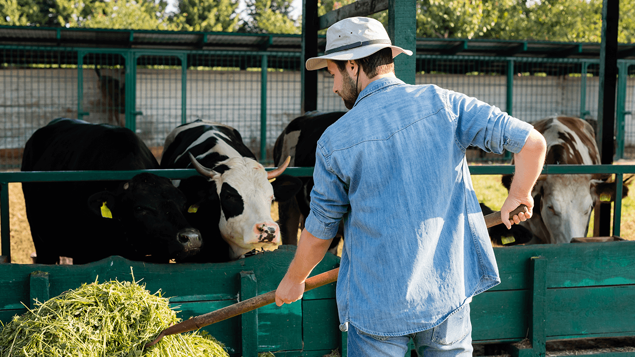 what is organic farming