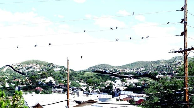 Main Street Programs and Organization Across the US - Nogales Community Development Corporation