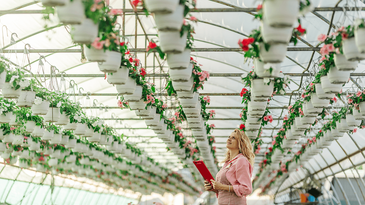 hydroponics farming