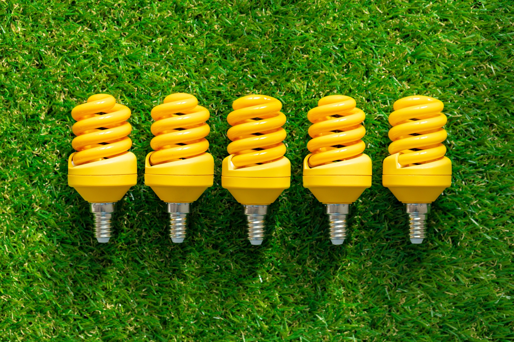 Energy efficient light bulb lying on grass