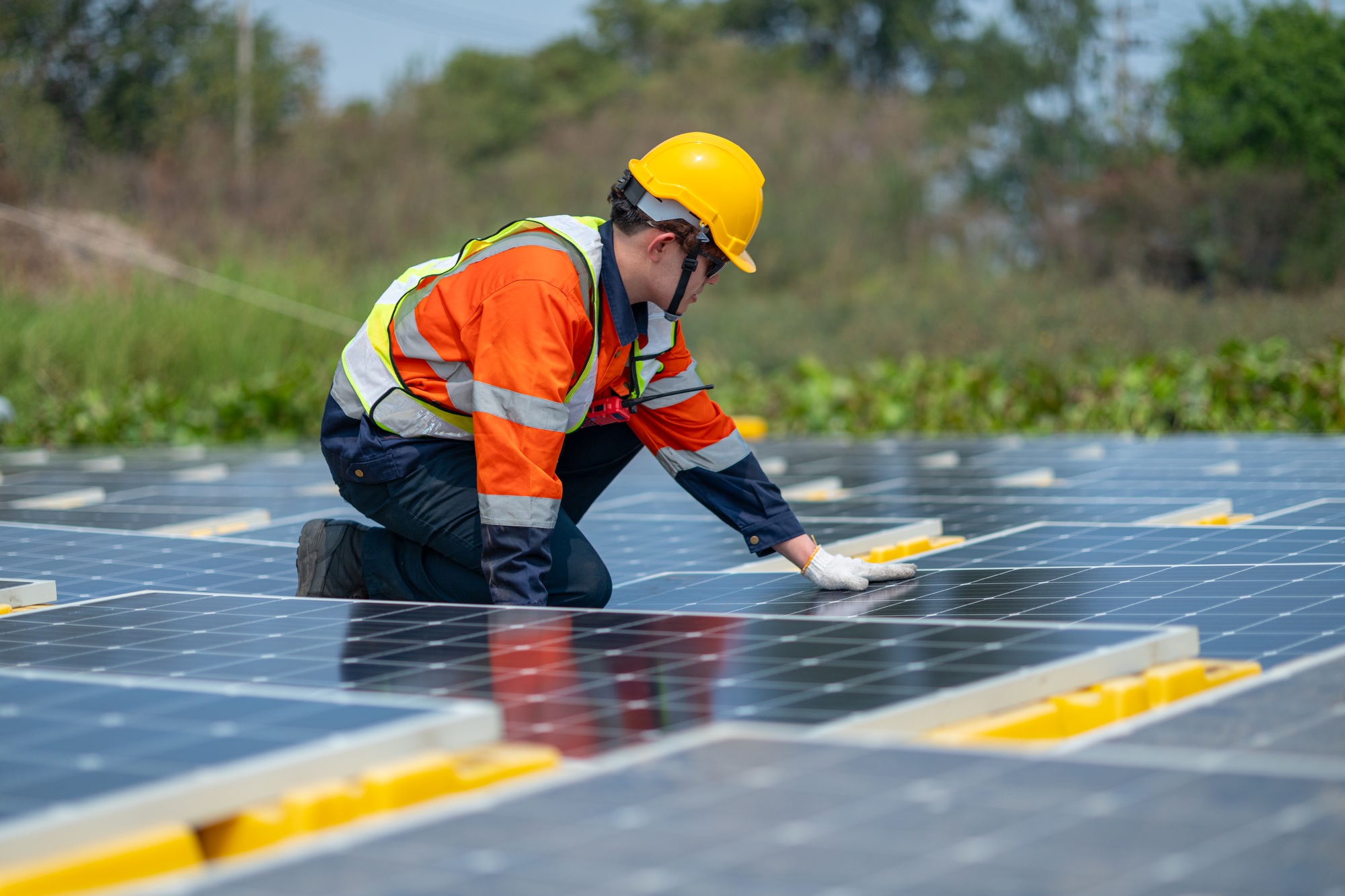 Solar Field Technician Examining Panel Efficiency