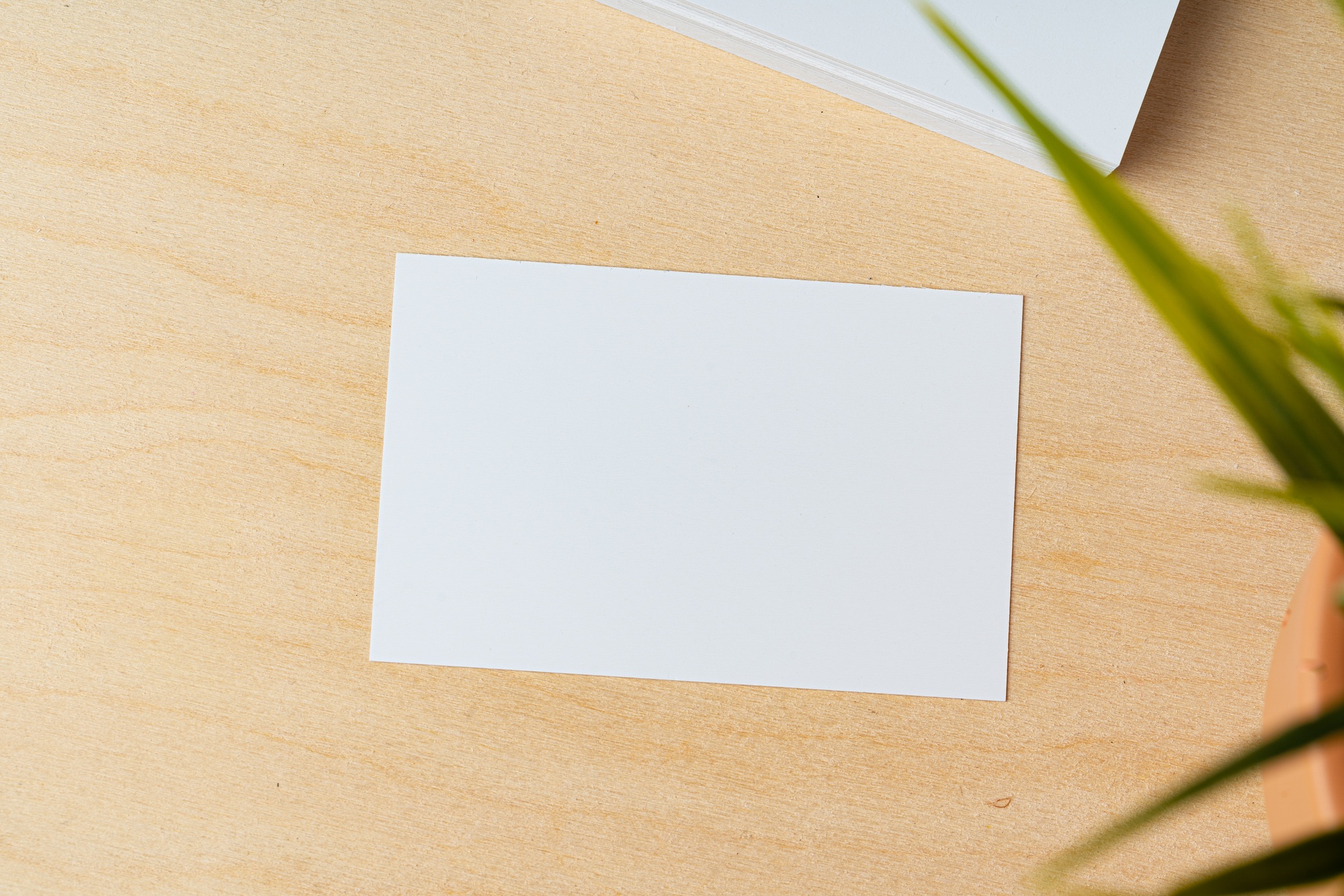 Blank white business card with copy space for your design