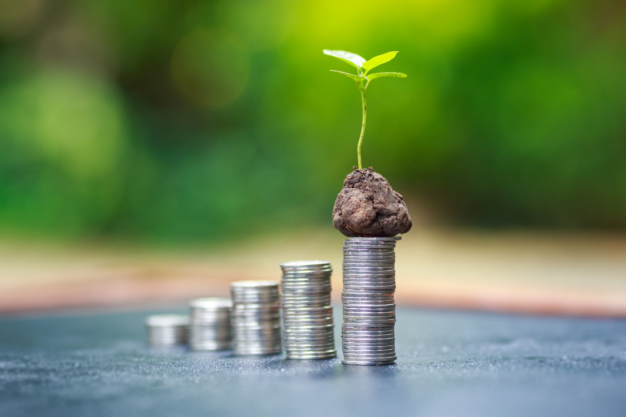 Saving money for wealth and growth of business income for rich invest plan concept.