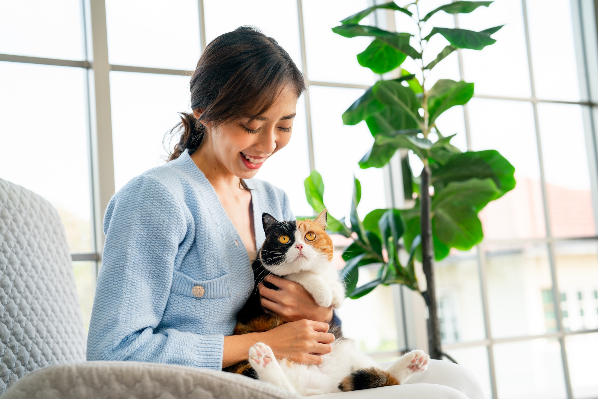 Asian woman sit on sofa in living room and talk with her cat and cat look at the woman with love