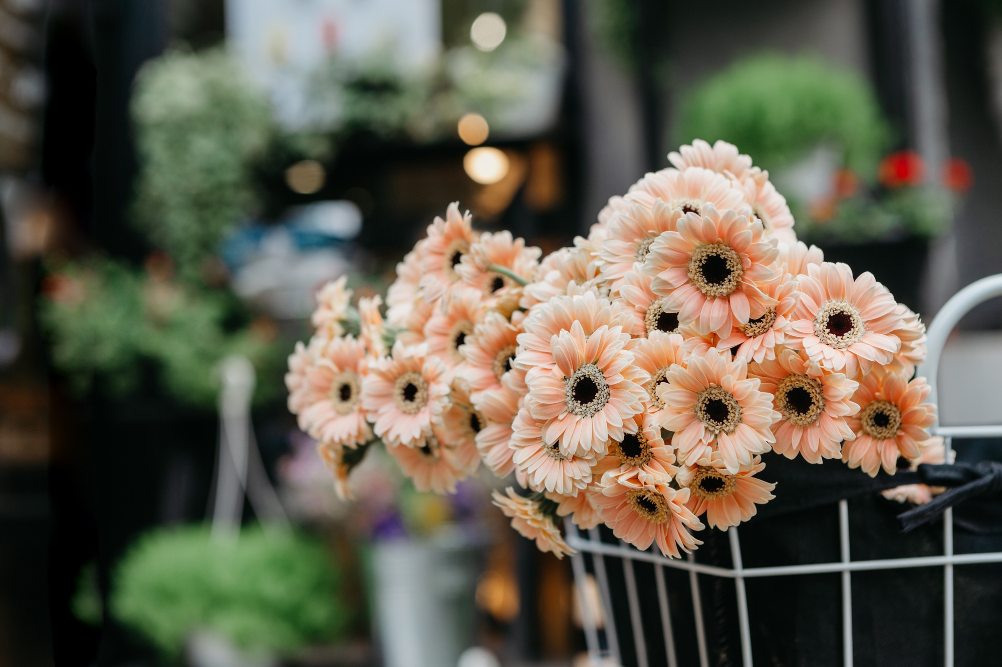 Floral design studio. Beige daisies in basket in store