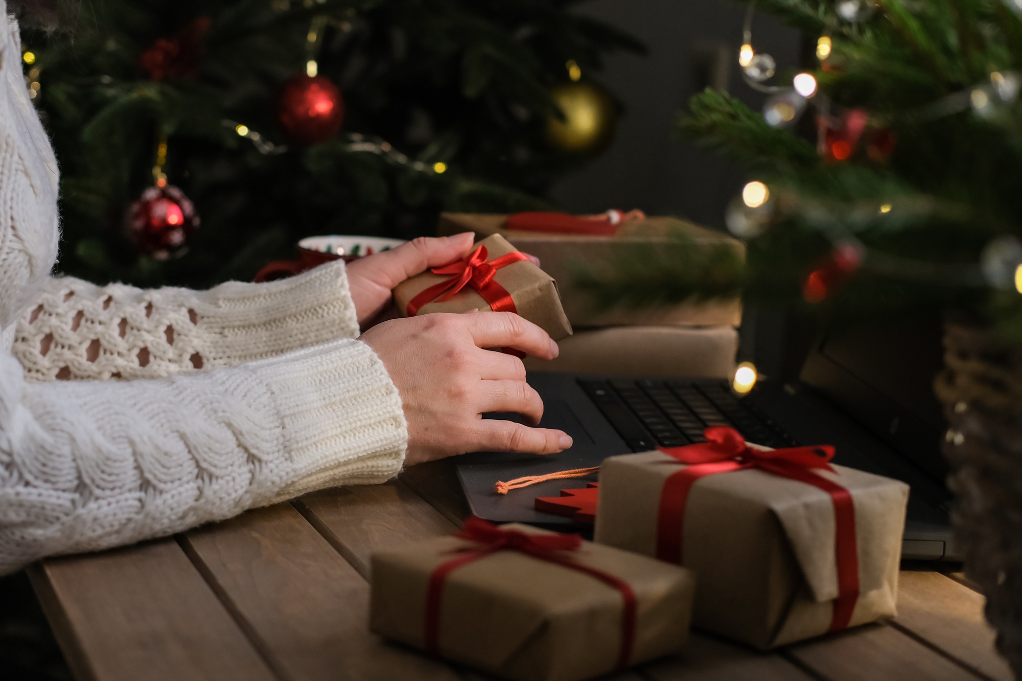 Holiday shopping. Christmas gift in female hands