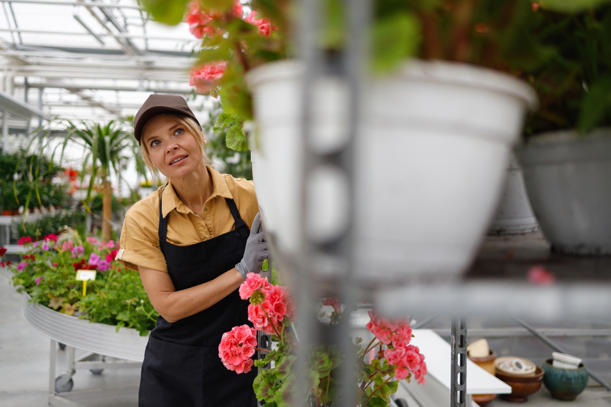 Pretty woman moving cart with potted plants in a flower nursery