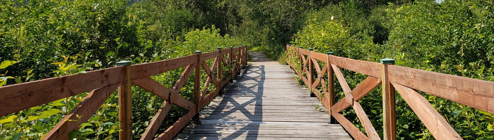 Wide format bridge frontage