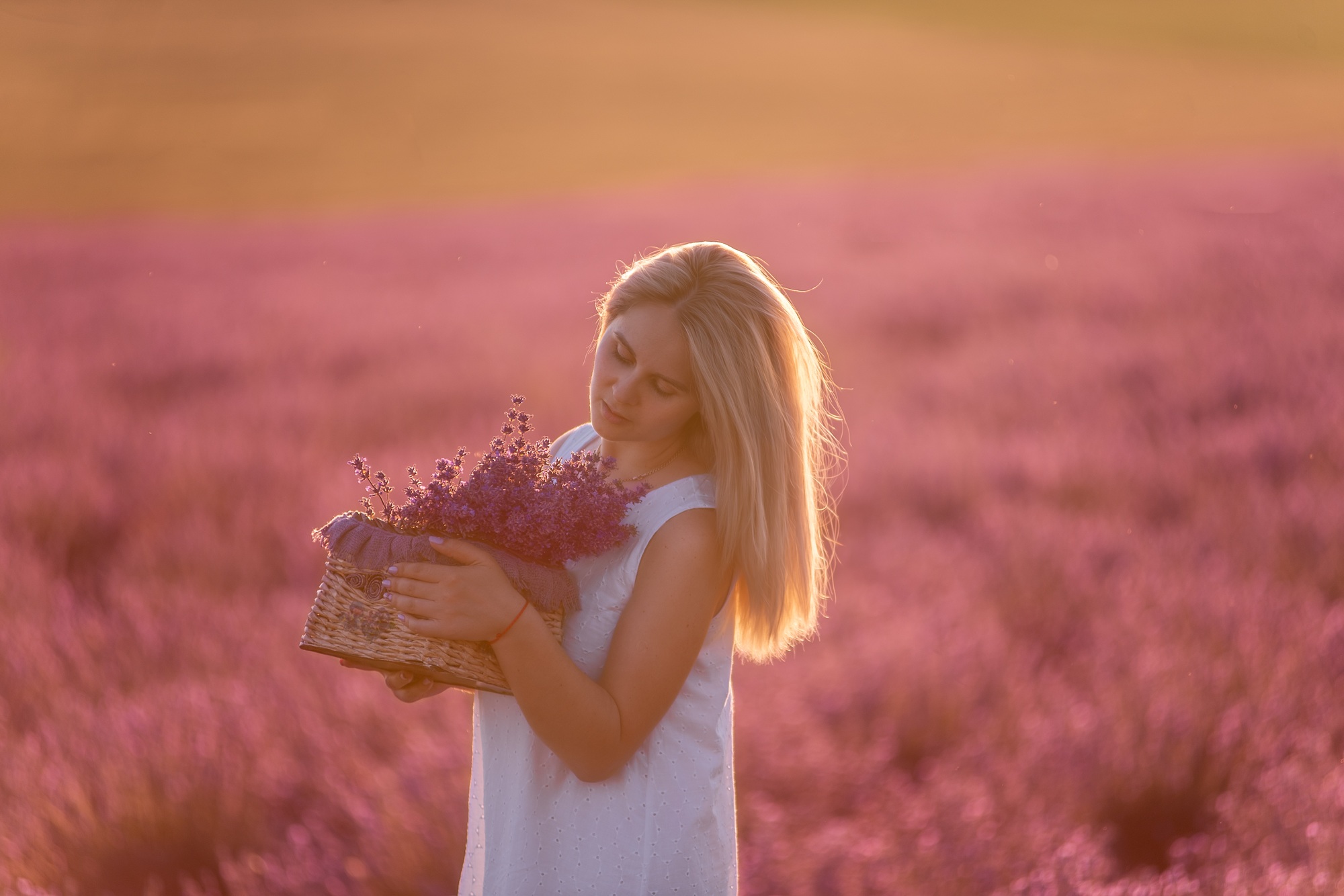Young woman in white dress stands with handmade basket in hands in purple lavender in field. Allergy