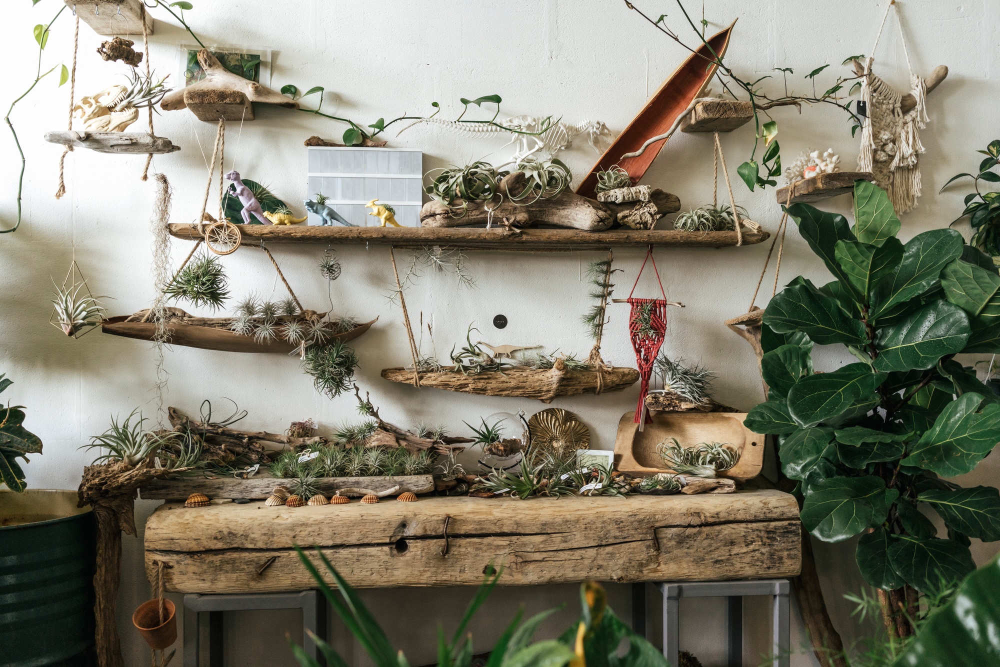 Assortment of plants and decoration in a showroom