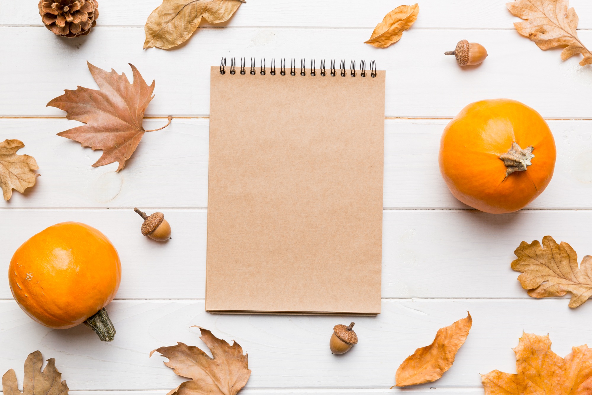 Autumn composition: fallen leaves and craft sketchbook mock up on colored background. Top view.