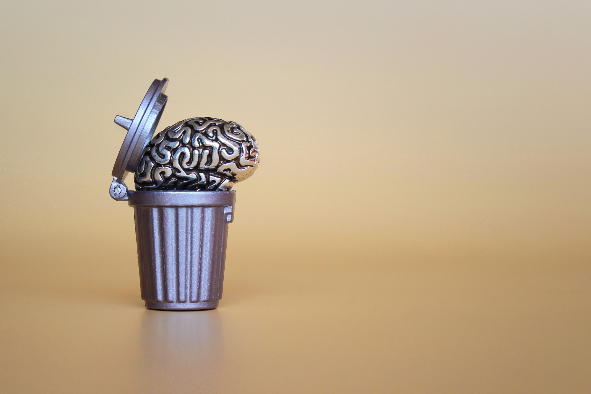 Brain model inside the trash can. Conceptual image