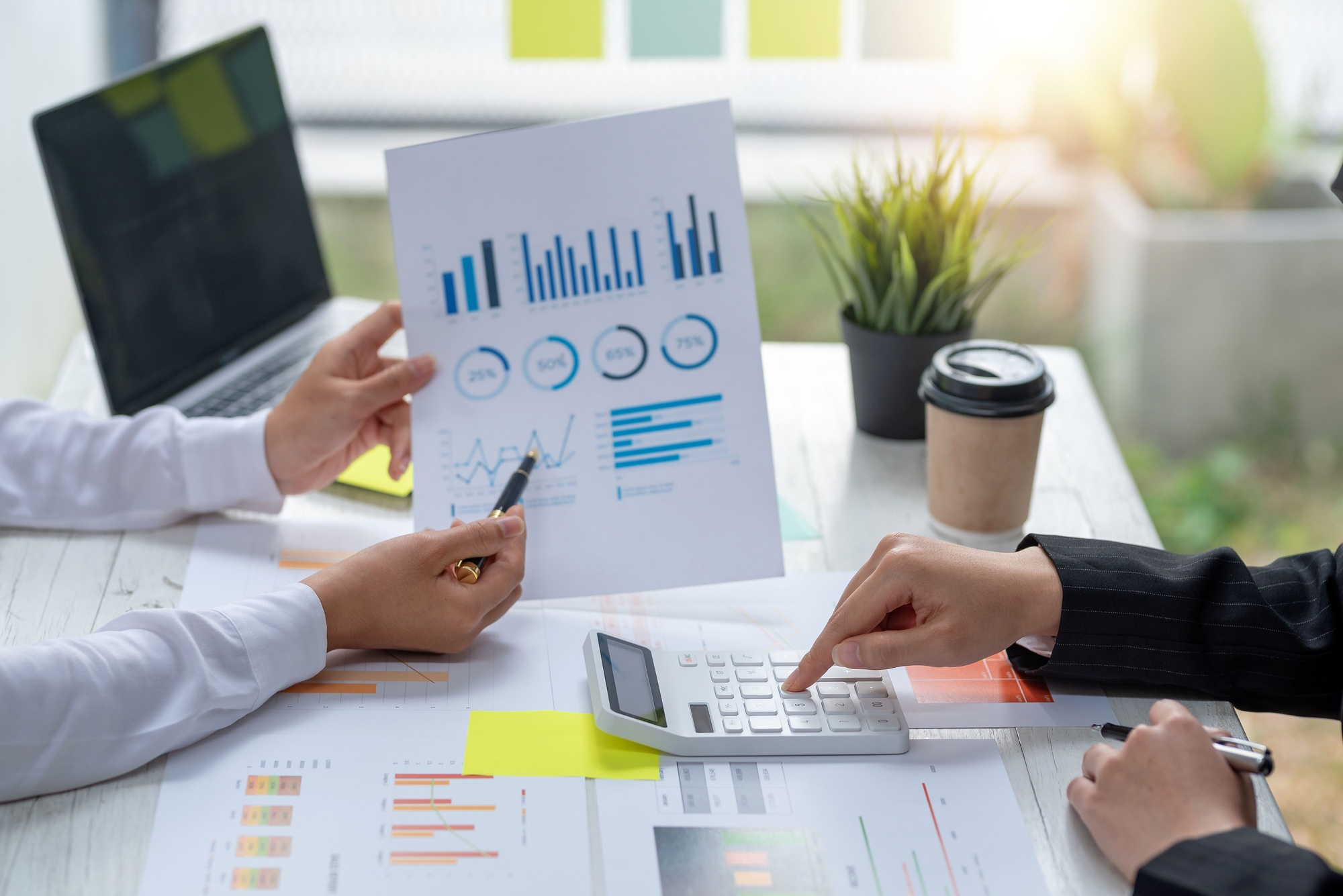 Business people planning a budget in a company organization.