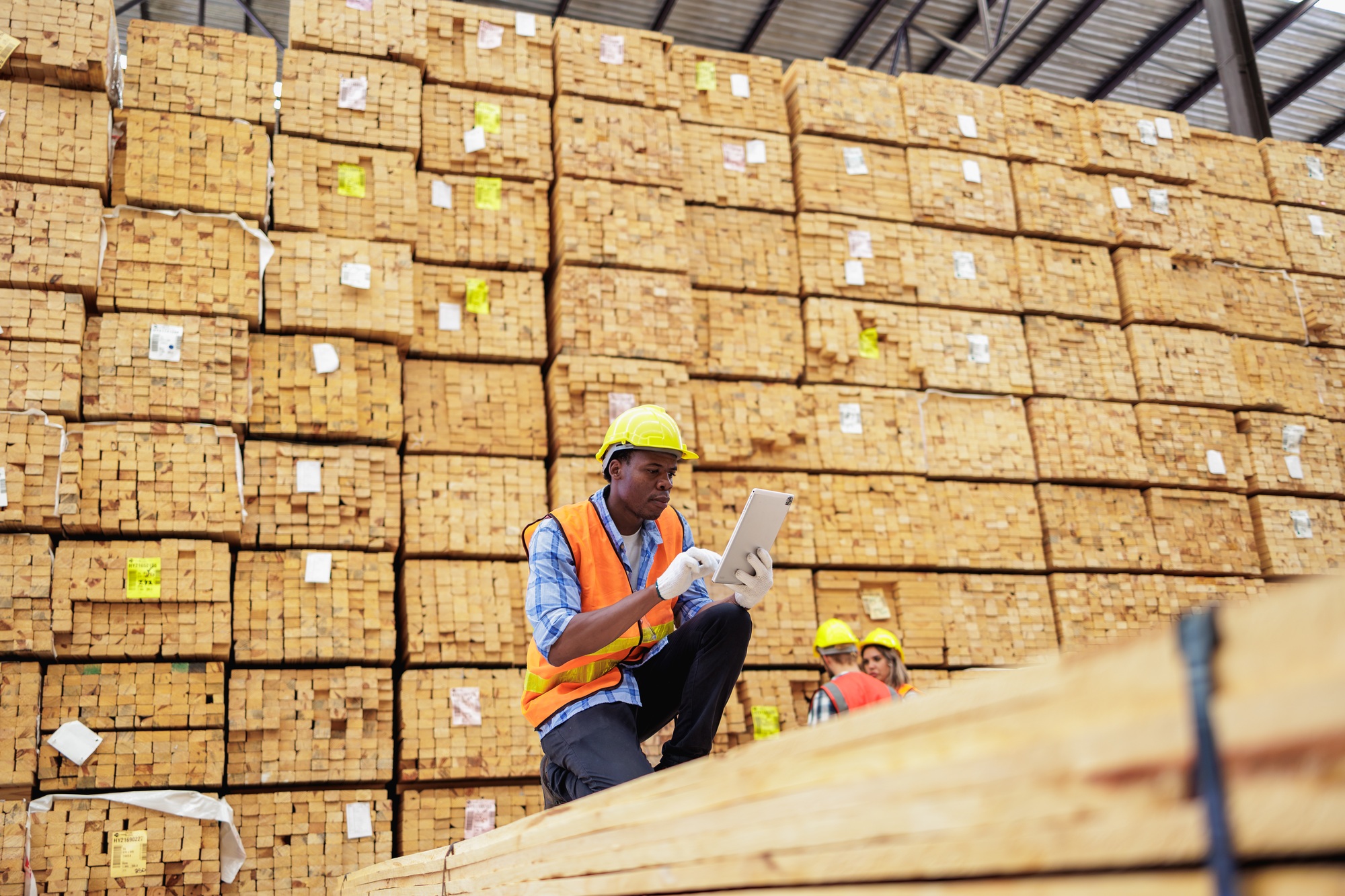 Efficient Workflow, Timber Yard Workers Measuring and Verifying Stock