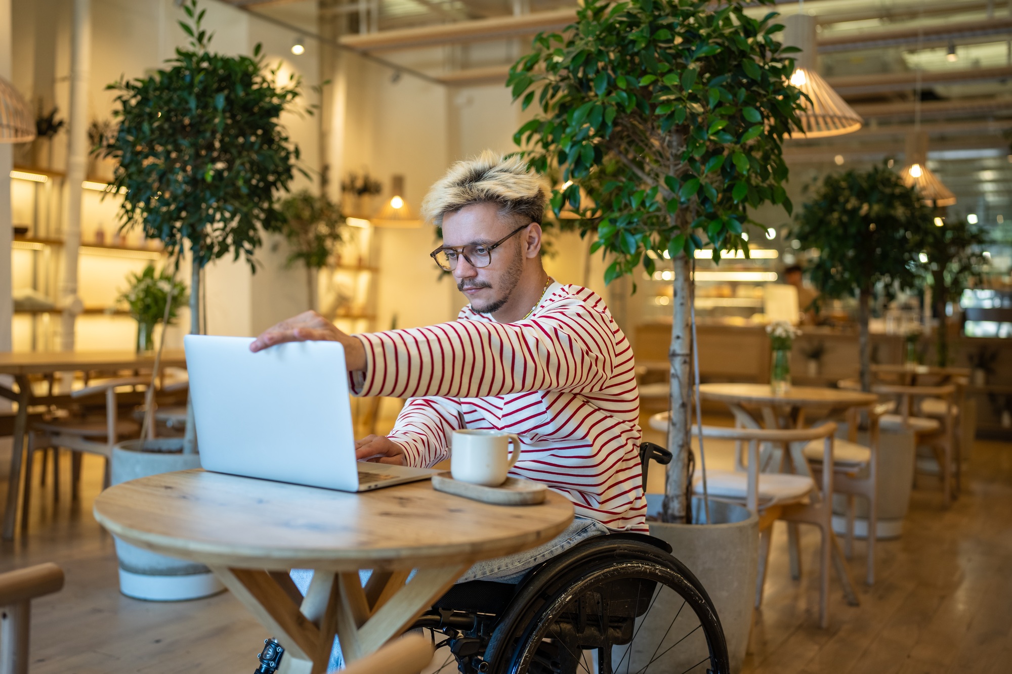 Focused diverse businessman in wheelchair opens laptop, initiates work in cafe. Work life balance
