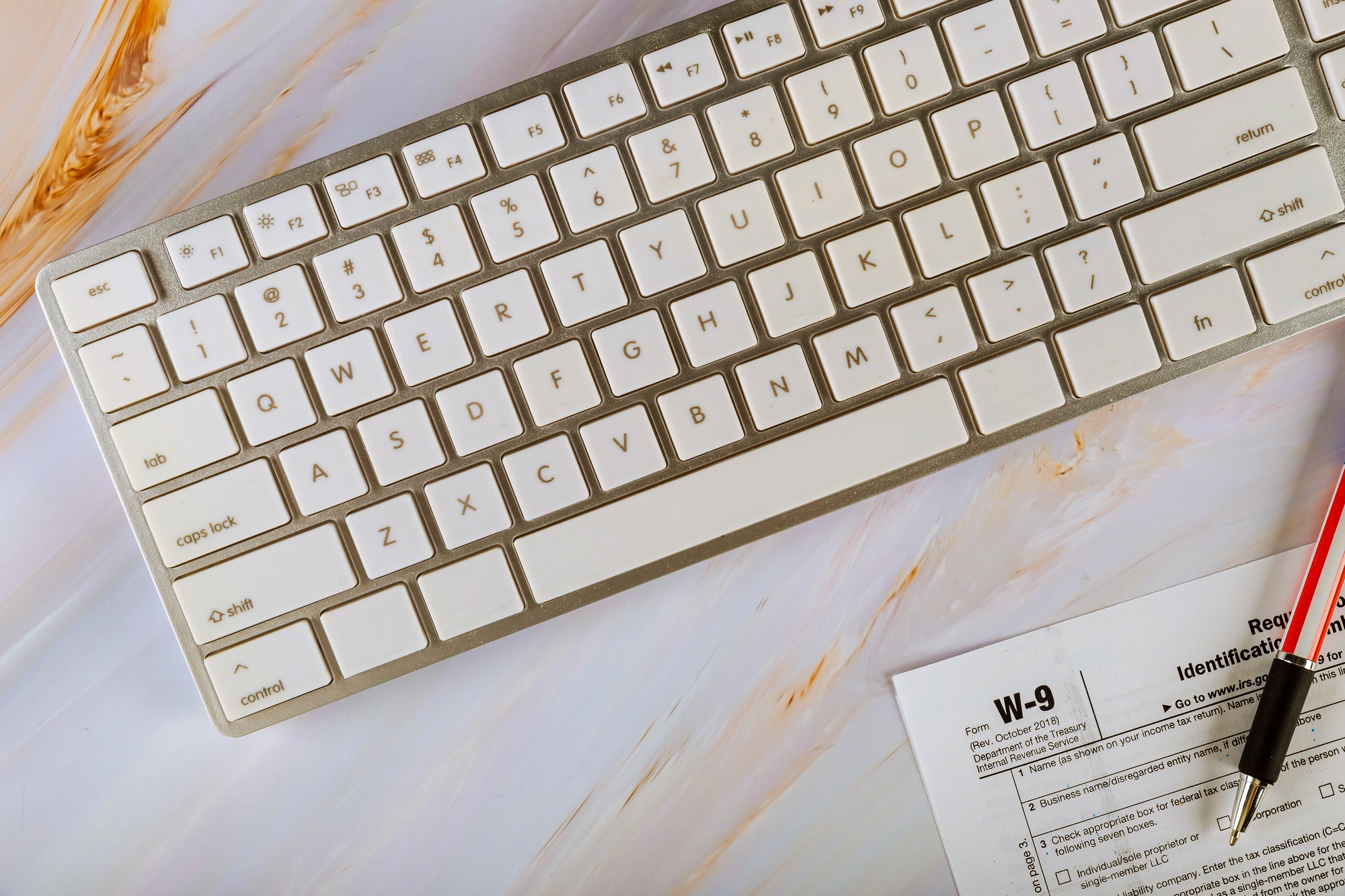 IRS application form W-9