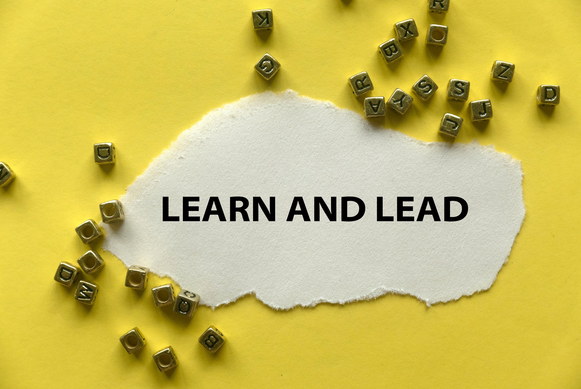 Learn and lead