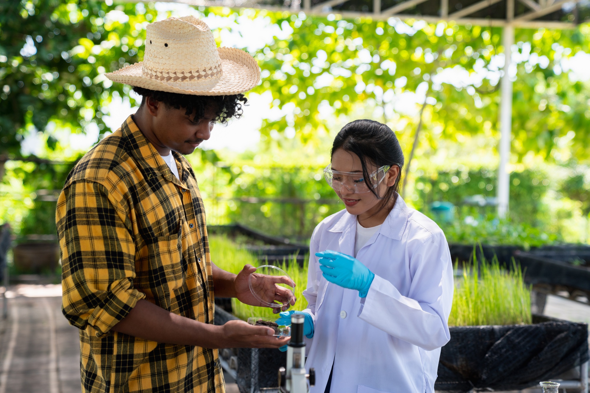 Scientist inspecting plants on an organic farm with research tools, monitoring growth and quality.