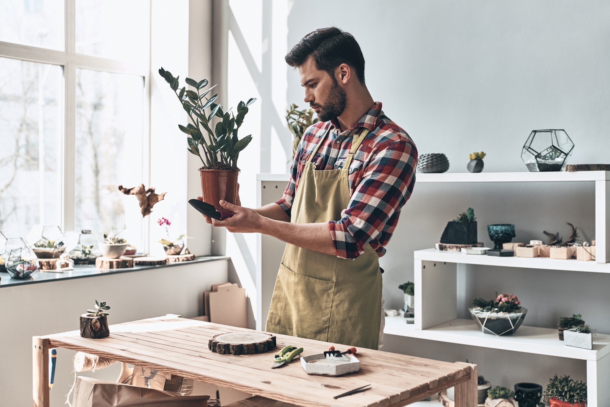 Small business owner.