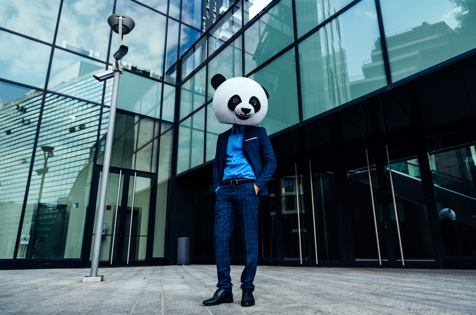 Storytelling image of a business man wearing a giant panda head