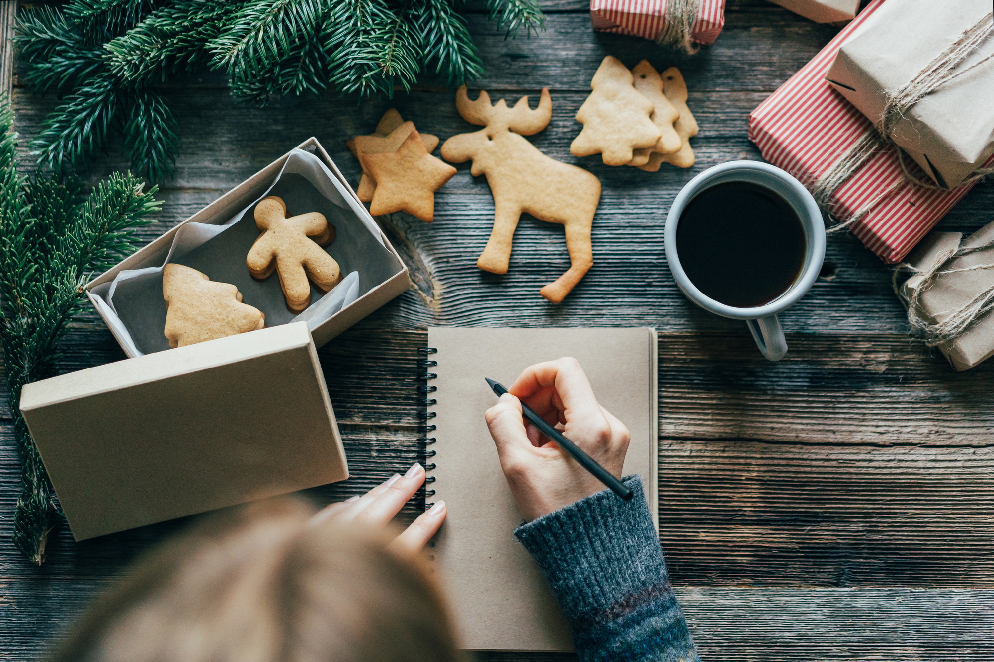 The concept of making plans for the new year. A woman writes goals in a notebook.
