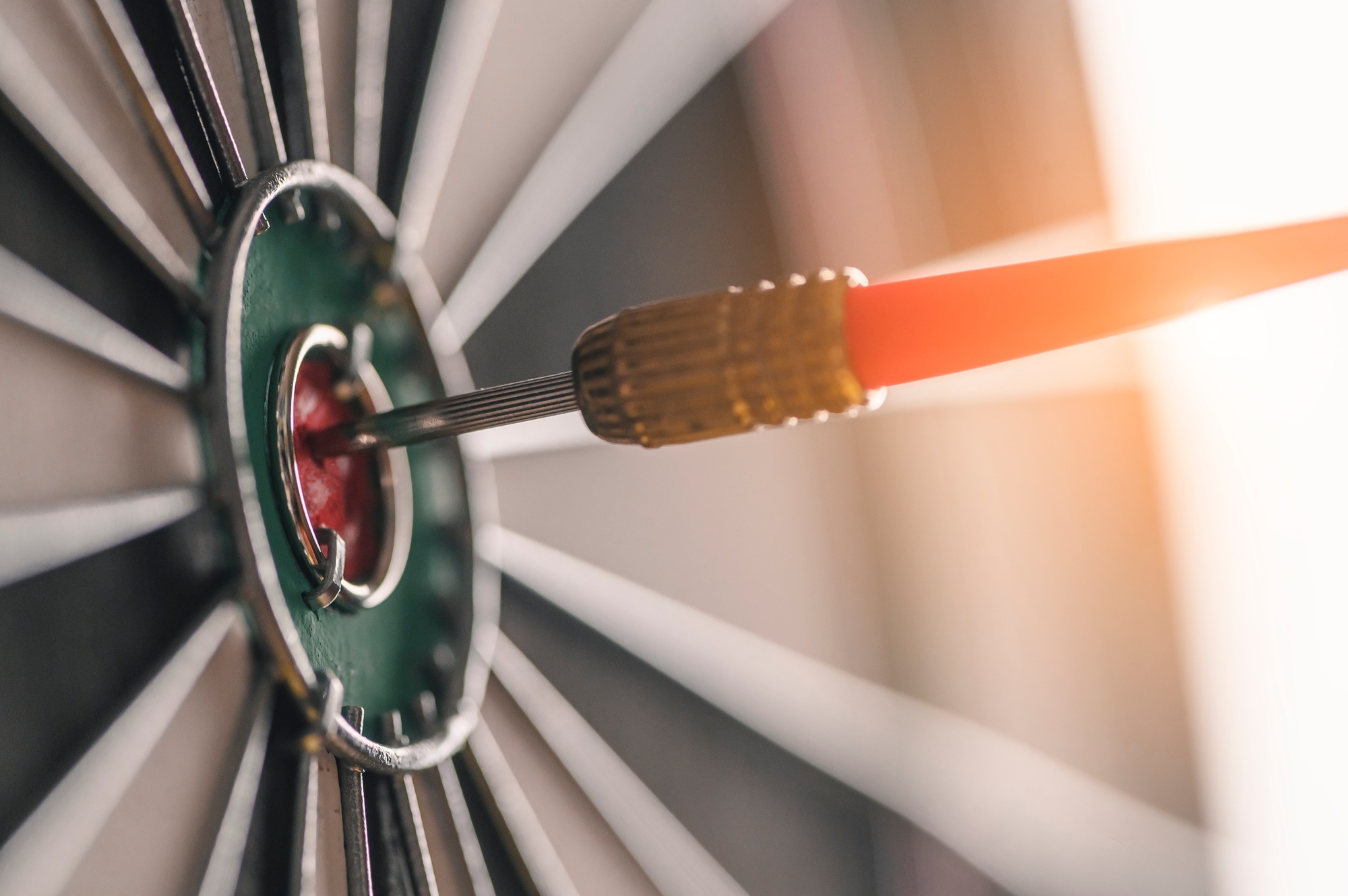 The red arrow in the middle of the dart board shown success. The concept of setting business goals