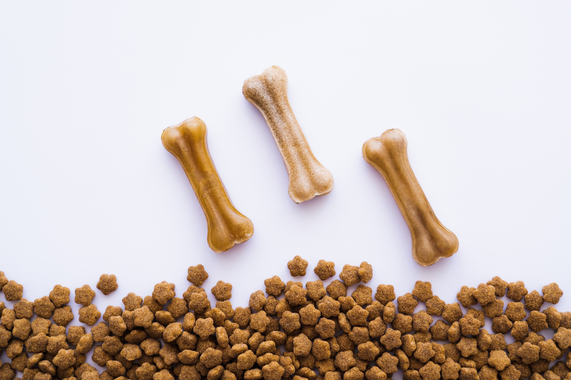 top view of bone shaped dog treats near pet food