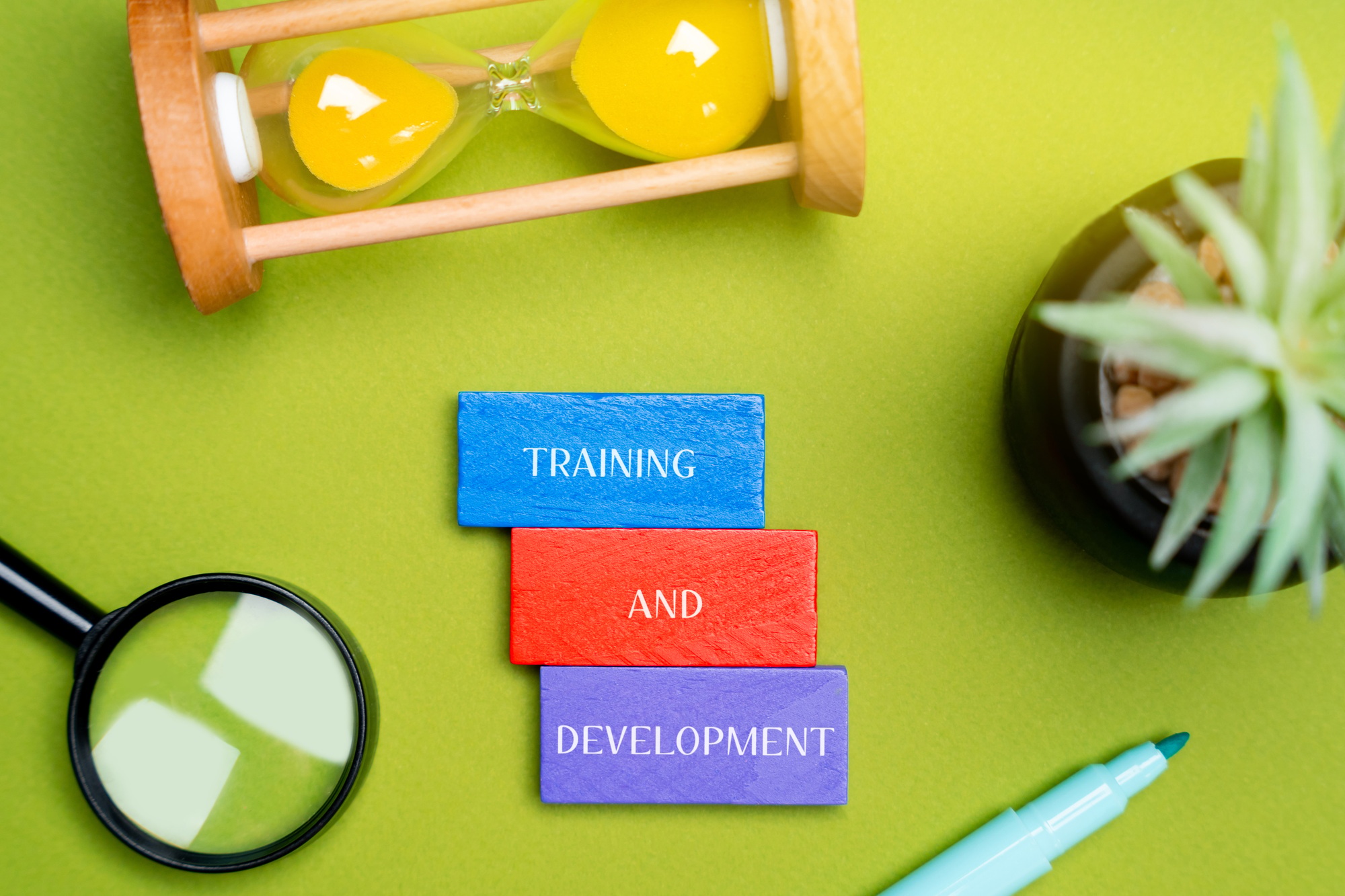 Training and development concept