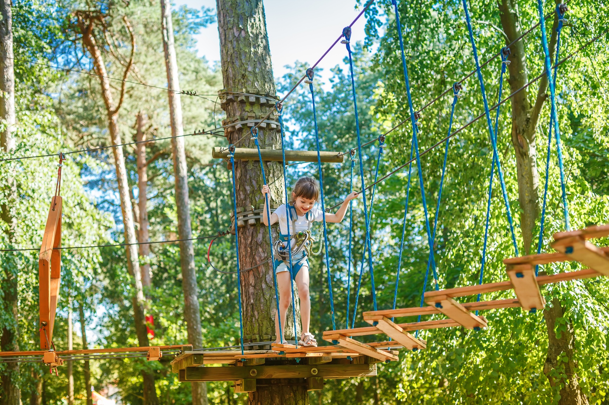 Young child confidently navigates a challenging suspended obstacle course in a lush forest setting