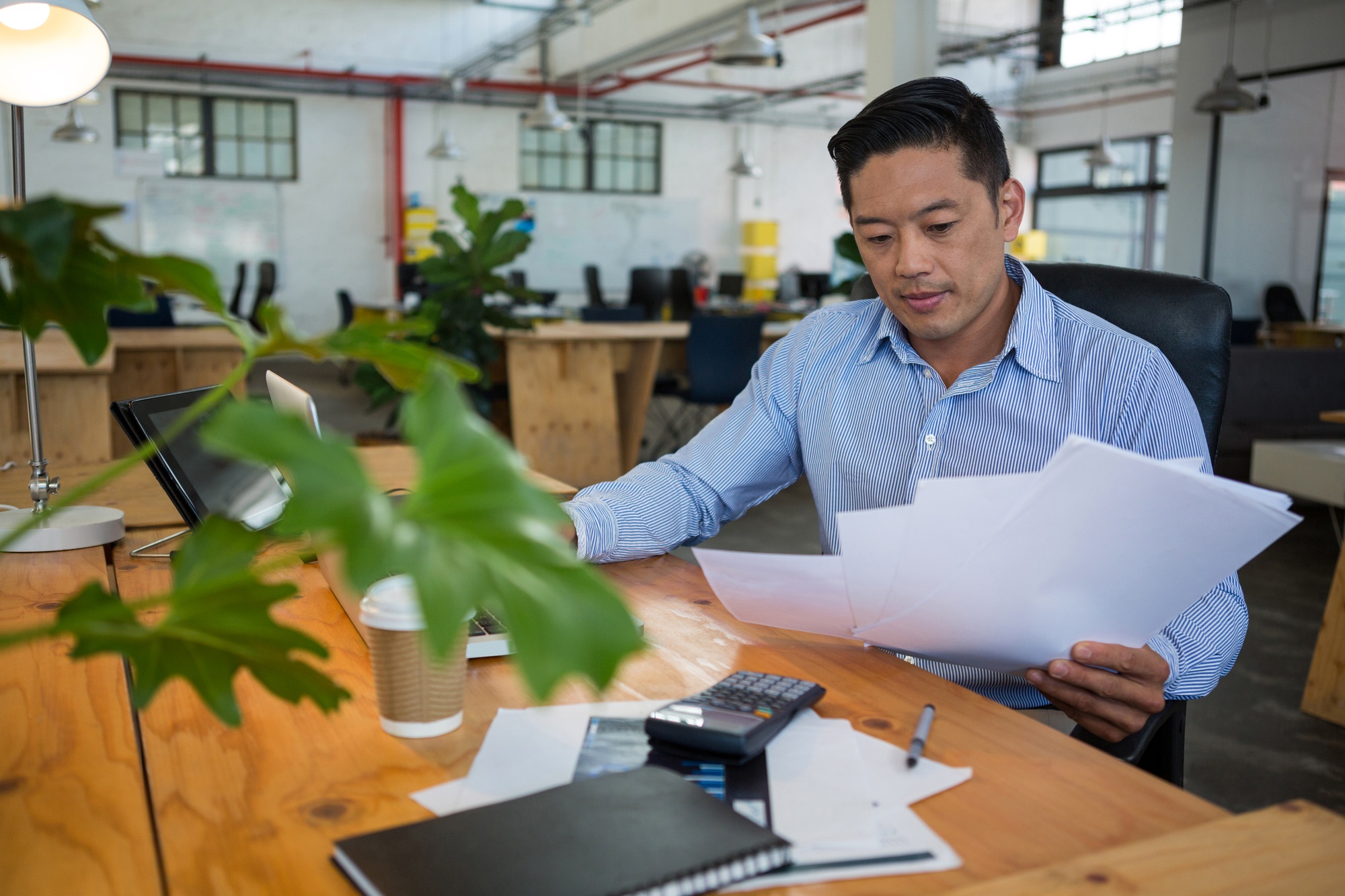 Business executive looking at document
