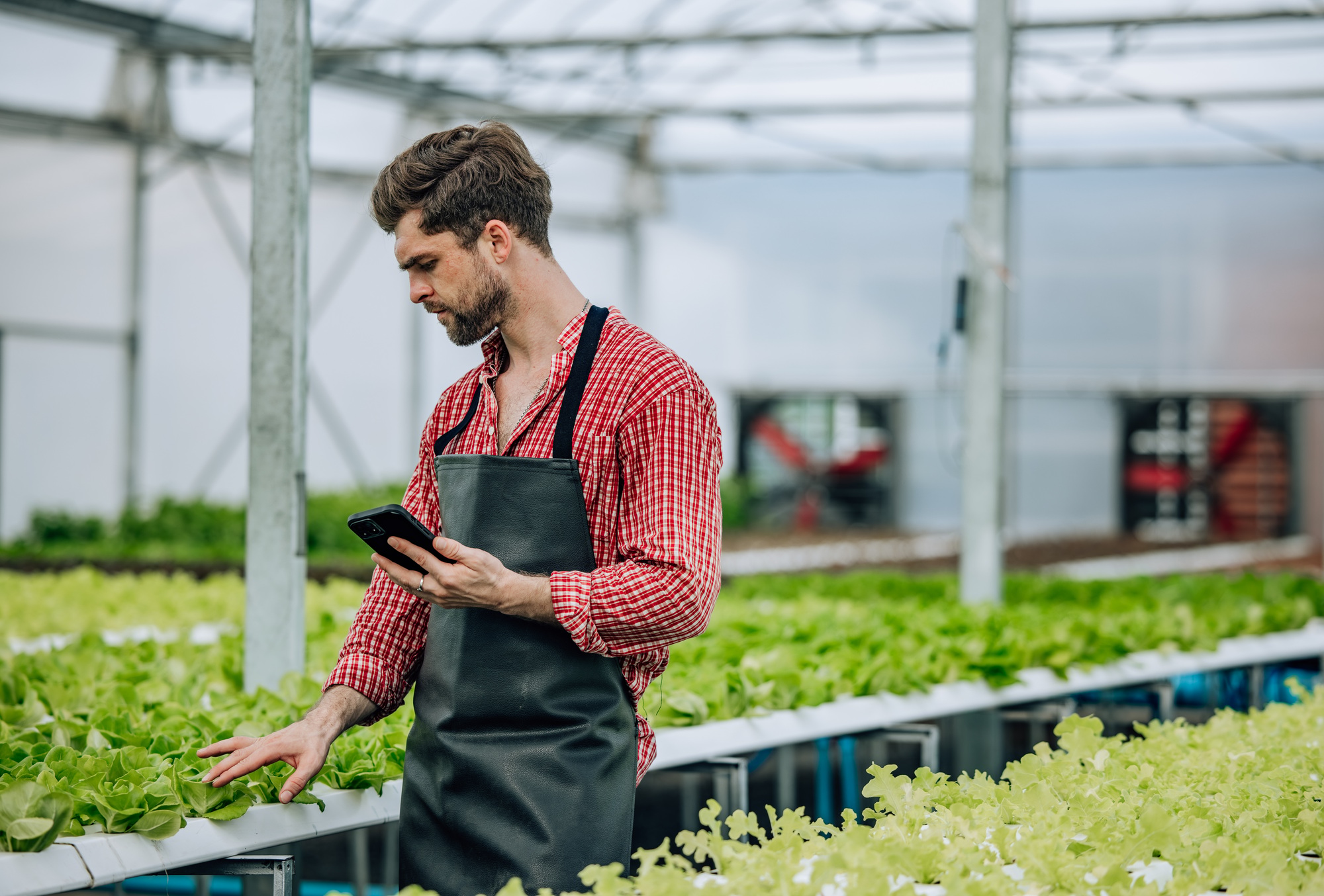 Farm owner calculates resources, profit, performance, expenses, maximizes revenue, controls costs.