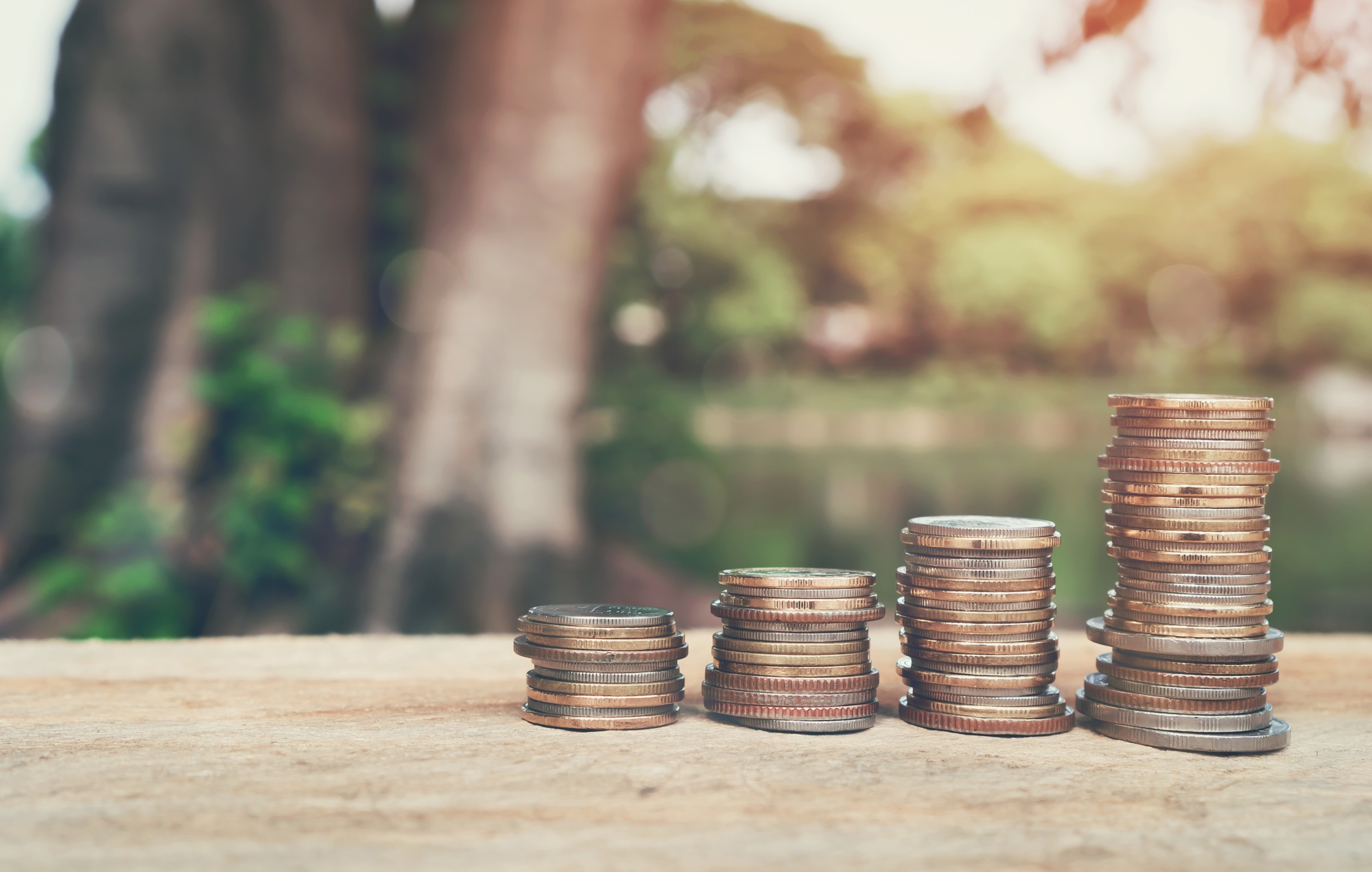 money, coins growing concept and the financial goals success.
