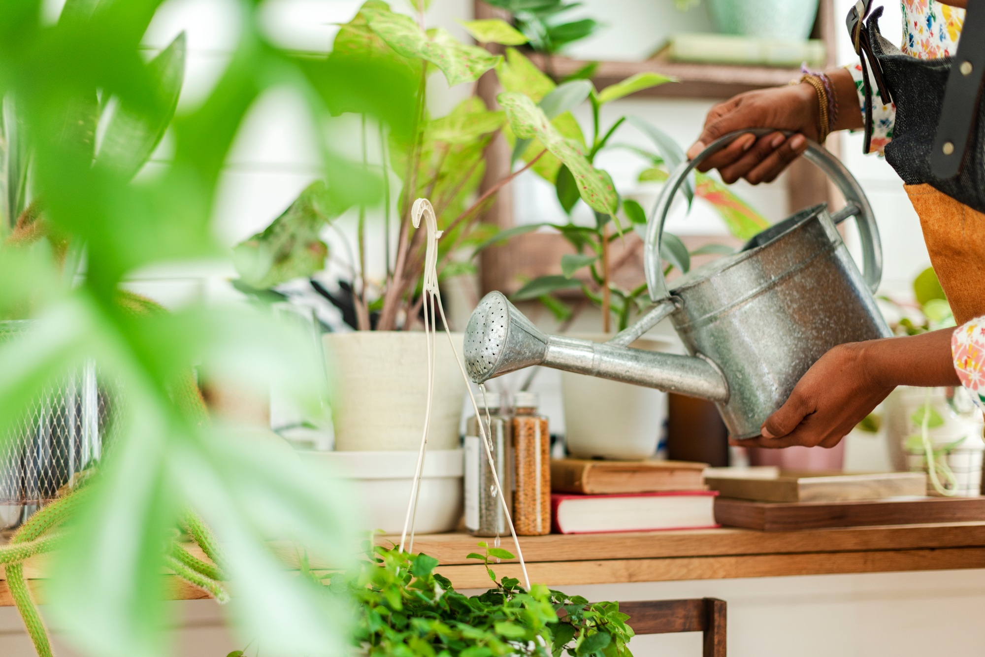 Small business worker watering plants