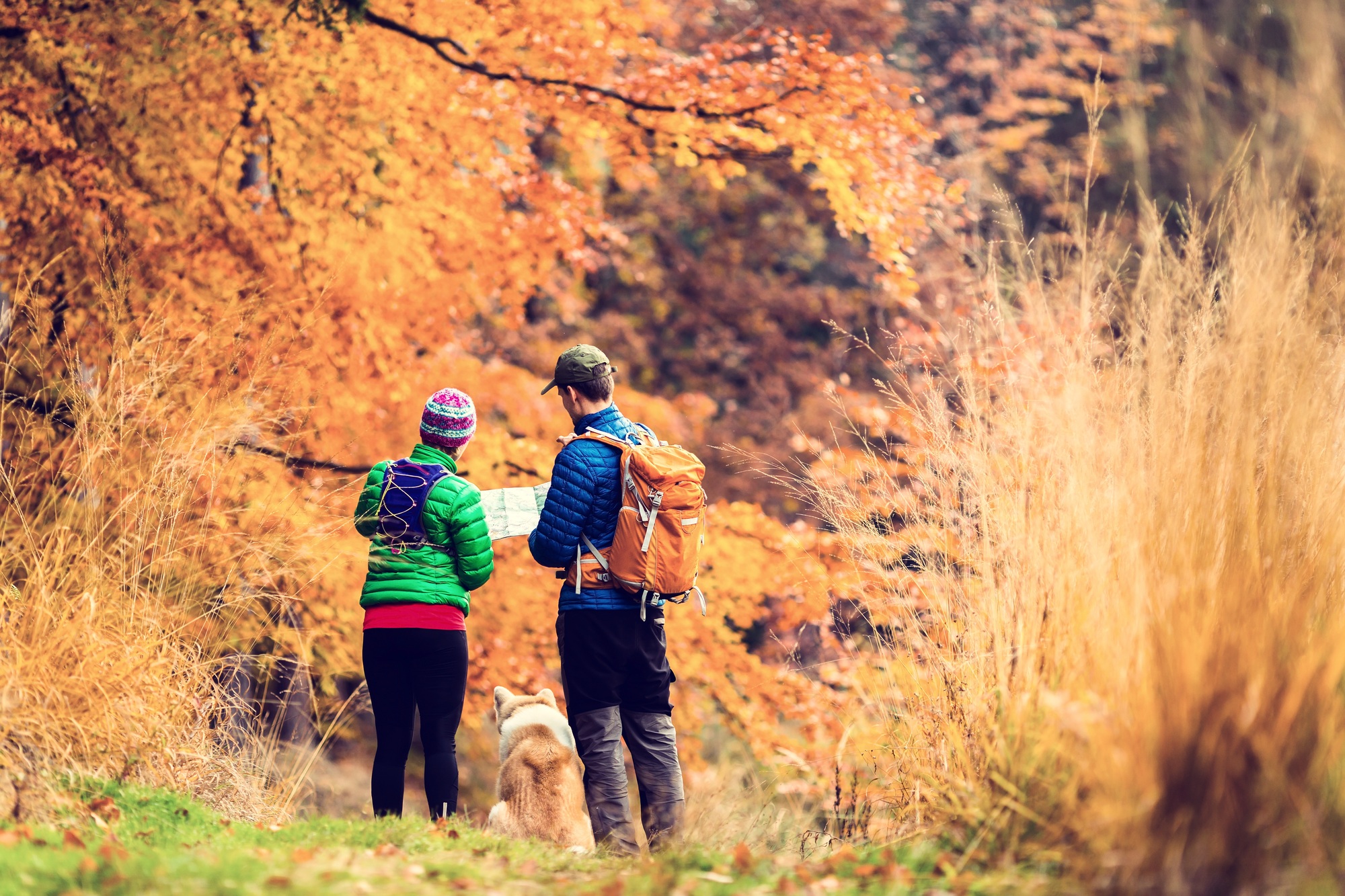Vintage instagram couple hiking in autumn forest