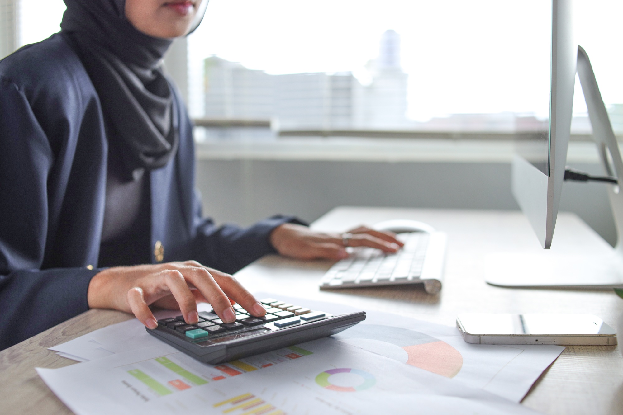 Accountant or financial staff